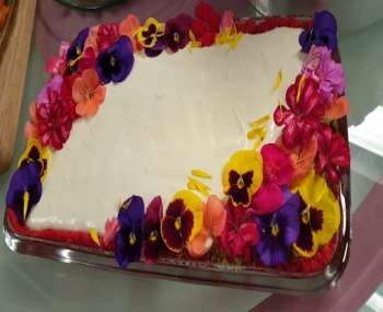 عيش السرايا السريع